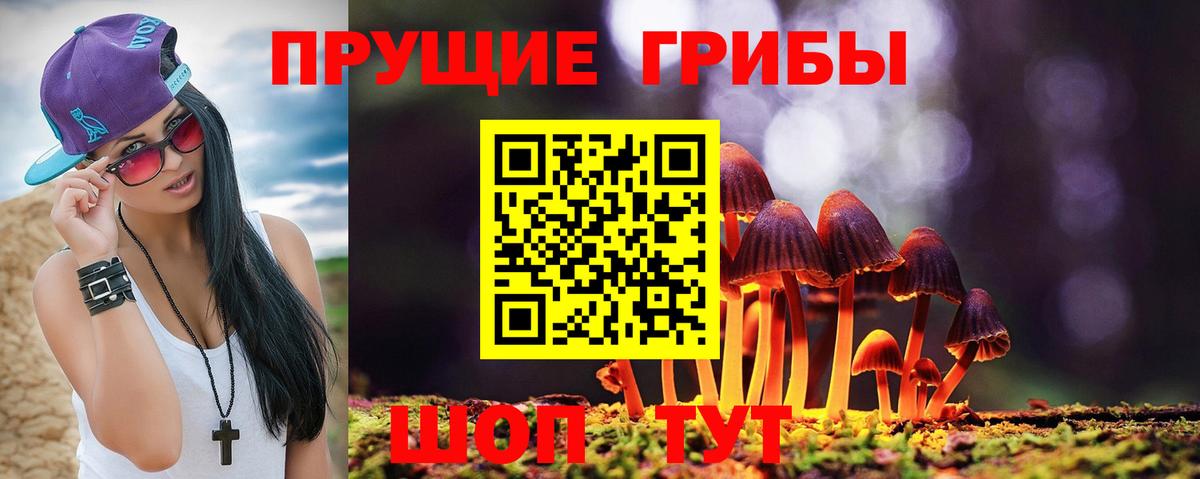 Галлюциногенные грибы Psilocybe Новоалександровск