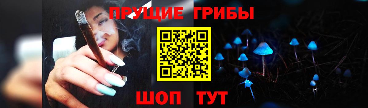 Новоалександровск  Галлюциногенные грибы мицелий  Вход с VPN 